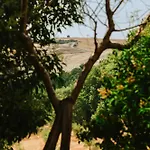Tenuta Borgo Santa Cecilia Κατάλυμα σε φάρμα