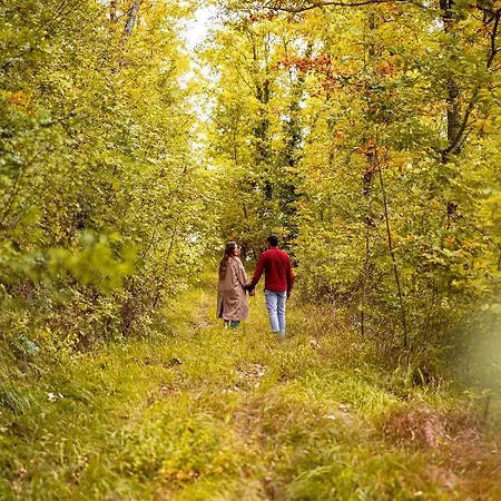 Farmház Tenuta Borgo Santa Cecilia