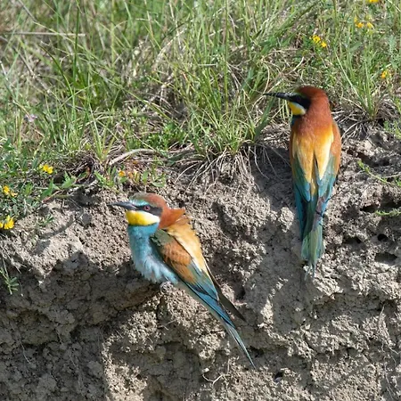 Farmház Tenuta Borgo Santa Cecilia Gubbio