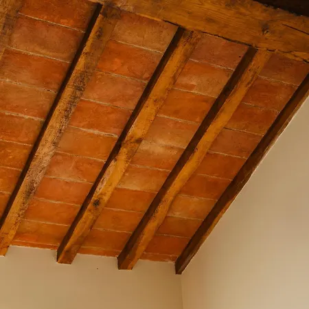 Tenuta Borgo Santa Cecilia Çiftlik konaklama