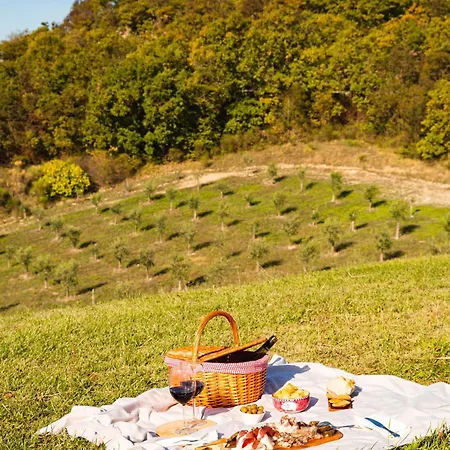 Alojamento de Turismo Rural Tenuta Borgo Santa Cecilia