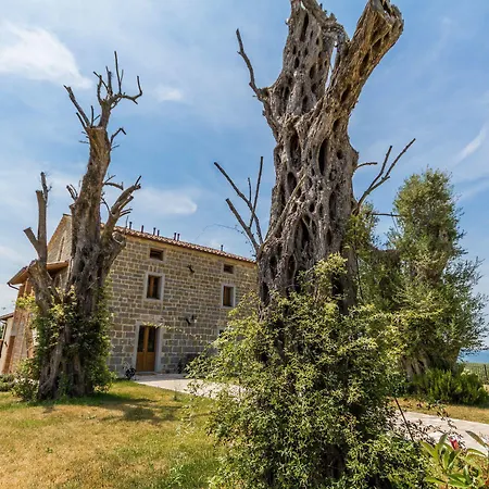 Tenuta Borgo Santa Cecilia 팜스테이 *