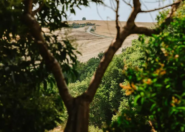 Tenuta Borgo Santa Cecilia Farma