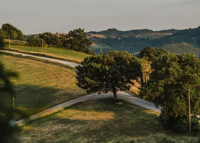 Tenuta Borgo Santa Cecilia Farma *